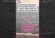 “Kepiting Gunung” Viral, Klaim Pemerintah Sebelumnya Dipertanyakan