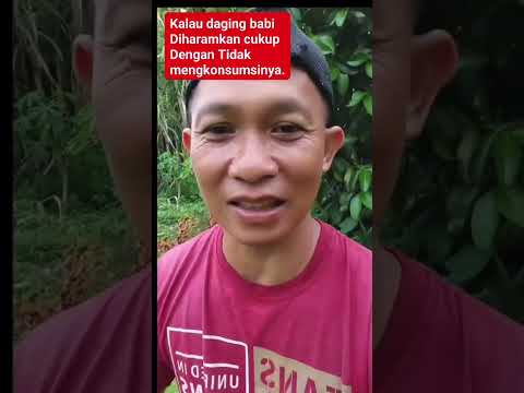 Ormas Minta Lapak Daging Babi di Medan Ditutup