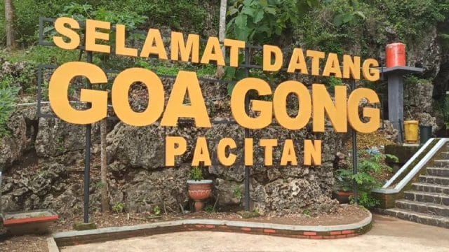 Wisata Alam Goa Gong Pacitan
