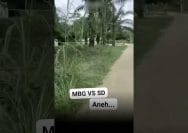 Penampilan Menyayat Hati Terlihat Antara Bangunan Dapur MBG Dengan SDN 011 Talang Gedabu