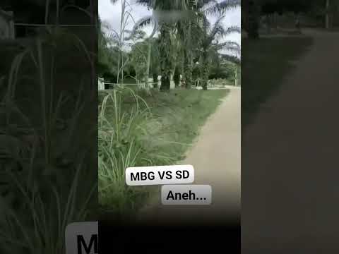 Penampilan Menyayat Hati Terlihat Antara Bangunan Dapur MBG Dengan SDN 011 Talang Gedabu