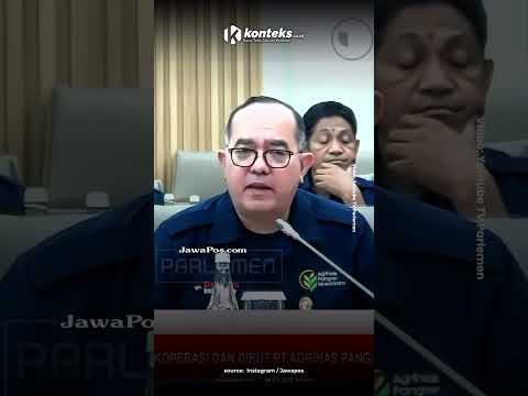 Dana Pembangunan Kopdes Merah Putih Talangan Himbara, Siapa Yang Menanggung Pengembaliannya?