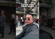 Isu Produk Non Halal Kerap Berulang, Peran Negara Jadi Sorotan