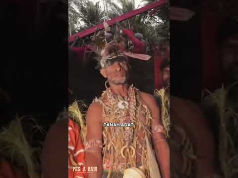 Tokoh Suku Awyu Serukan Perlindungan Tanah Adat Papua
