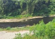 Warna air sungai yang tampak hitam pekat di wilayah pertemuan Sungai Cileungsi dan Sungai Cikeas.