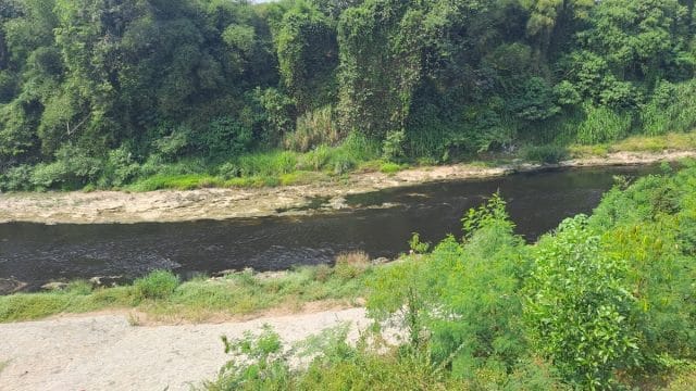 Warna air sungai yang tampak hitam pekat di wilayah pertemuan Sungai Cileungsi dan Sungai Cikeas.