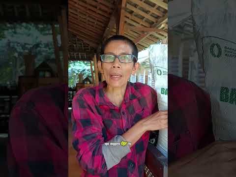 Beras Bantuan Pemerintah Jadi Sorotan, Tanggal Produksi Dan Kadaluarsa Dipertanyakan
