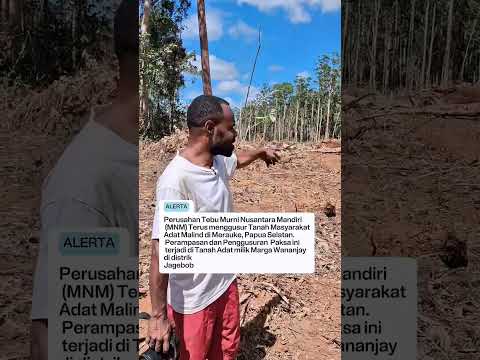 Penggusuran Lahan Masyarakat Adat Malind di Merauke