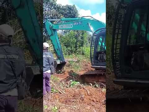 Warga Protes Aktivitas Perusahaan di Wilayah Adat Muara Tae