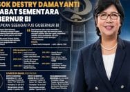 Pjs Gubernur BI, Destry Damayanti