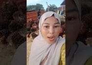Pernyataan Zulhas Soal Sawit Dan Padi Tuai Kritik