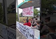 Ribuan Ayam Mati Saat Listrik Padam, Peternak Palangka Raya Tagih Tanggung Jawab PLN