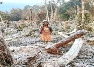 Warga dilanda kelaparan, warga mengalami gagal panen akibat bencana hujan es dan embun es dalam beberapa bulan belakangan ini, Lokasi: Distrik Mapia Barat dan Distrik Piyaiye, Kabupaten Dogiyai, tapal batas Provinsi Papua Tengah dan Provinsi Papua Barat.