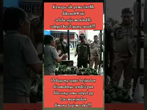 Pedagang Sayur Ditertibkan Satpol PP Sumba Barat Daya
