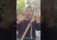Petani Pesawaran Kritik Pendataan Sensus Ekonomi 2026