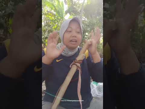 Petani Pesawaran Kritik Pendataan Sensus Ekonomi 2026