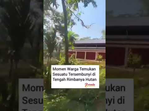 Kopdes Merah Putih Berdiri di Tengah Hutan, Warganet Pertanyakan Siapa yang Akan Berbelanja