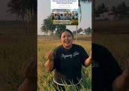Panen Padi TNI Disetor ke MBG, Petani Kritik Persaingan dengan “Petani Berseragam”