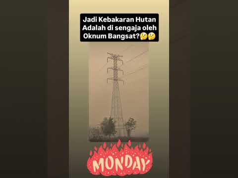 Petugas Temukan Botol Berbau Bensin di Lokasi Karhutla